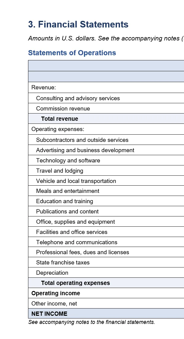 An example income statement page from the generated financial statement package. The statement is laid out in a traditional reporting format: revenue at the top, followed by expense line items grouped by category, with subtotals and a net income line at the bottom, presented with the headings and column structure of a formal financial statement.
